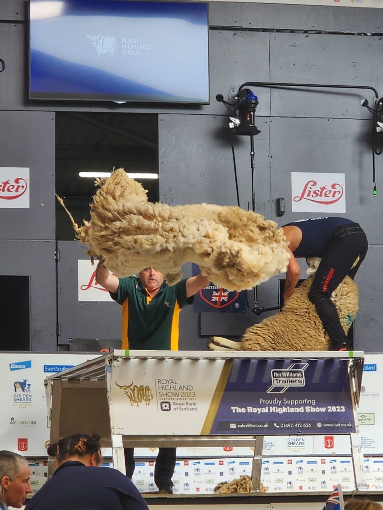 Sports Shear Tasmania